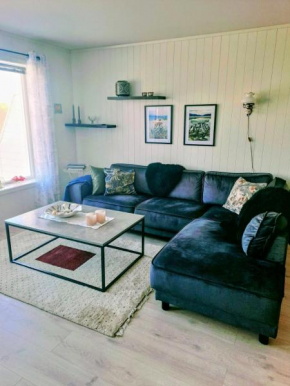Well equipped big appartment in Lofoten Gravdal
